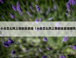 小白怎么网上做副业渠道（小白怎么网上做副业渠道赚钱）