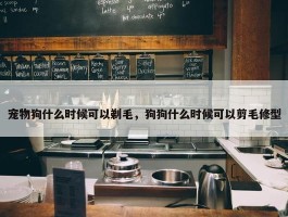 宠物狗什么时候可以剃毛，狗狗什么时候可以剪毛修型