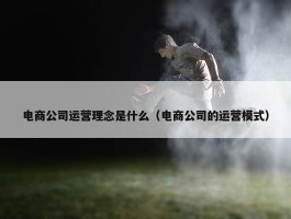 电商公司运营理念是什么（电商公司的运营模式）