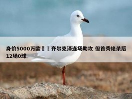 身价5000万欧‍️齐尔克泽连场助攻 但首秀绝杀后12场0球