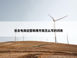 包含电商运营助理月报怎么写的词条