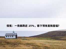 极氪：一夜暴跌近 25%，吞下领克是祸是福？