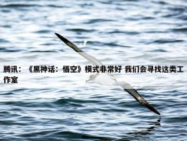 腾讯：《黑神话：悟空》模式非常好 我们会寻找这类工作室