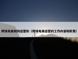 跨境电商如何运营的（跨境电商运营的工作内容和职责）