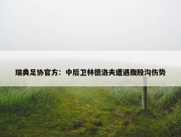 瑞典足协官方：中后卫林德洛夫遭遇腹股沟伤势