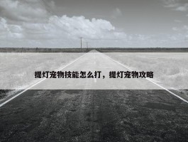 提灯宠物技能怎么打，提灯宠物攻略