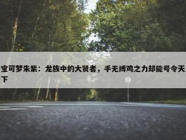 宝可梦朱紫：龙族中的大贤者，手无缚鸡之力却能号令天下