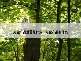 无尘产品运营是什么，无尘产品有什么