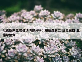 尼克斯队史球员场均得分榜：布伦森第二 甜瓜第四 兰德尔第六