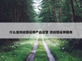 什么是供应链延伸产品运营 供应链延伸服务