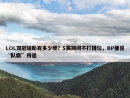 LOL双冠辅助有多少梗？S赛期间不打排位，BP都是“队霸”待遇