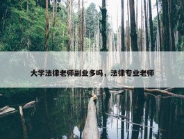 大学法律老师副业多吗，法律专业老师