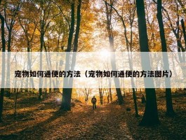 宠物如何通便的方法（宠物如何通便的方法图片）