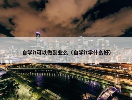 自学it可以做副业么（自学it学什么好）