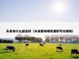 头条有什么副业好（头条都有哪些兼职可以赚钱）