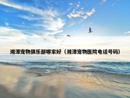 湘潭宠物俱乐部哪家好（湘潭宠物医院电话号码）