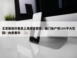 王思聪低价售卖上海豪宅套现，独门独户带100平大花园！内景奢华