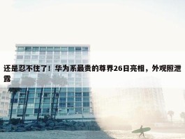 还是忍不住了！华为系最贵的尊界26日亮相，外观照泄露