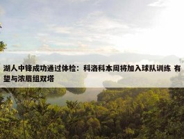 湖人中锋成功通过体检：科洛科本周将加入球队训练 有望与浓眉组双塔