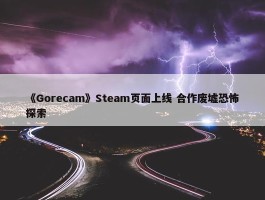 《Gorecam》Steam页面上线 合作废墟恐怖探索