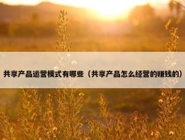 共享产品运营模式有哪些（共享产品怎么经营的赚钱的）