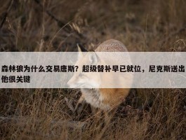 森林狼为什么交易唐斯？超级替补早已就位，尼克斯送出他很关键