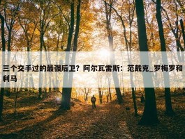 三个交手过的最强后卫？阿尔瓦雷斯：范戴克_罗梅罗和利马