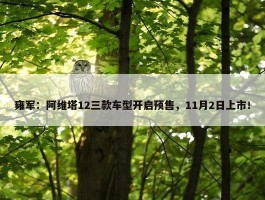 雍军：阿维塔12三款车型开启预售，11月2日上市！