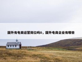 国外有电商运营岗位吗0，国外电商企业有哪些