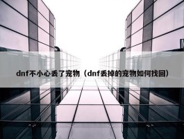 dnf不小心丢了宠物（dnf丢掉的宠物如何找回）