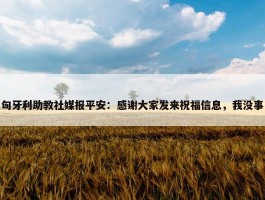 匈牙利助教社媒报平安：感谢大家发来祝福信息，我没事