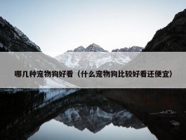 哪几种宠物狗好看（什么宠物狗比较好看还便宜）