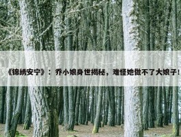 《锦绣安宁》：乔小娘身世揭秘，难怪她做不了大娘子！