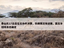 泰山队17日出征足协杯决赛，伤病情况有进展，国足补招球员也确定