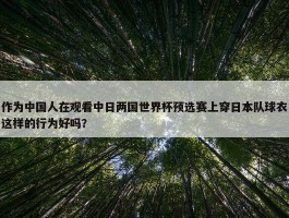 作为中国人在观看中日两国世界杯预选赛上穿日本队球衣这样的行为好吗？