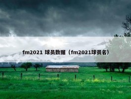 fm2021 球员数据（fm2021球员名）