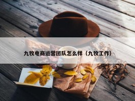 九牧电商运营团队怎么样（九牧工作）