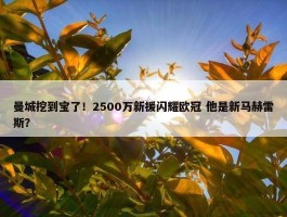 曼城挖到宝了！2500万新援闪耀欧冠 他是新马赫雷斯？