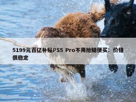 5199元百亿补贴PS5 Pro不用抢随便买：价格很稳定