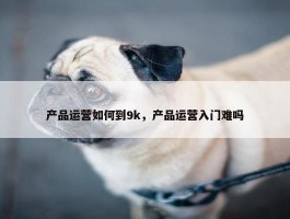 产品运营如何到9k，产品运营入门难吗