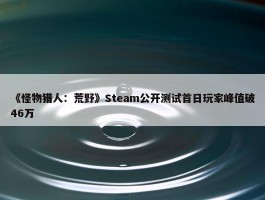 《怪物猎人：荒野》Steam公开测试首日玩家峰值破46万