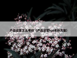 产品运营怎么考核（产品运营kpi考核方案）