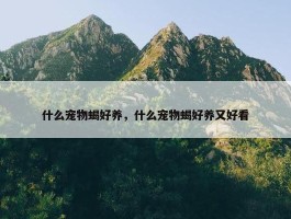 什么宠物蝎好养，什么宠物蝎好养又好看