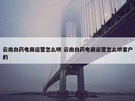 云南白药电商运营怎么哄 云南白药电商运营怎么哄客户的