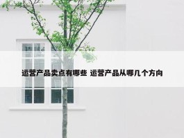 运营产品卖点有哪些 运营产品从哪几个方向