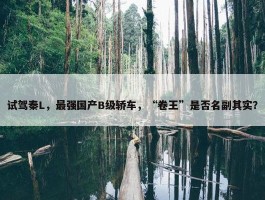 试驾秦L，最强国产B级轿车，“卷王”是否名副其实？