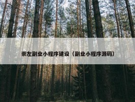 崇左副业小程序建设（副业小程序源码）