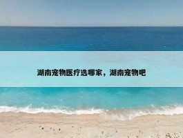 湖南宠物医疗选哪家，湖南宠物吧