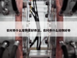 农村养什么宠物更好养活，农村养什么动物好养