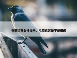 电商运营会枯燥吗，电商运营是不是很闲